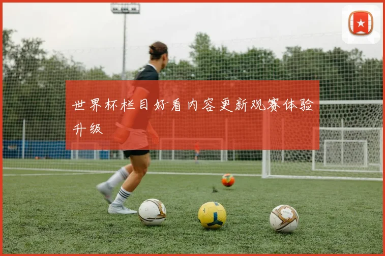 世界杯栏目好看内容更新观赛体验升级