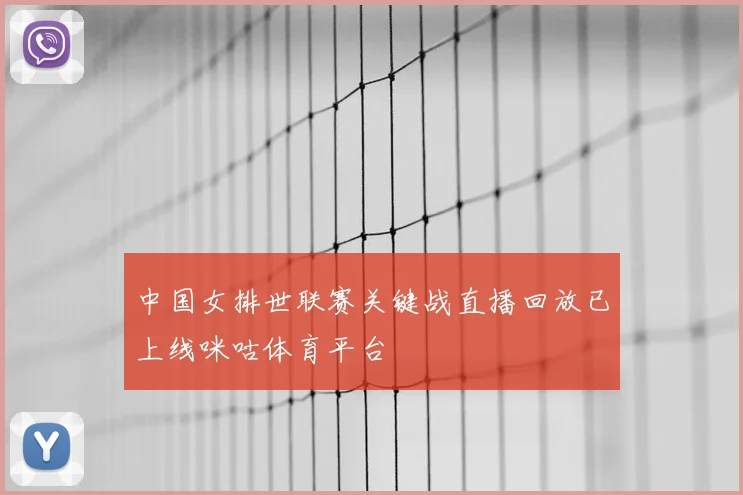 中国女排世联赛关键战直播回放已上线咪咕体育平台