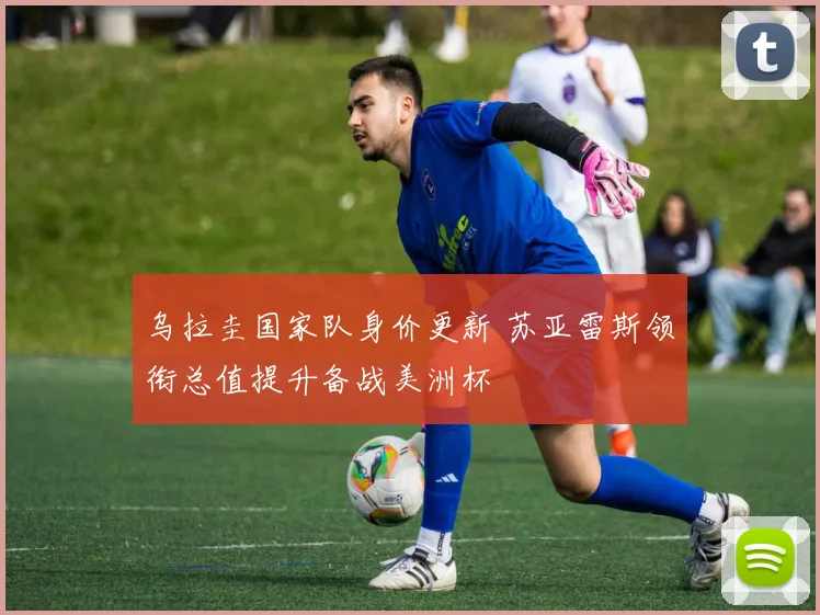 乌拉圭国家队身价更新 苏亚雷斯领衔总值提升备战美洲杯