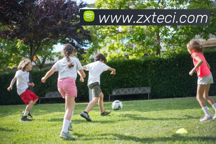 世界杯官方网络平台平台生态图